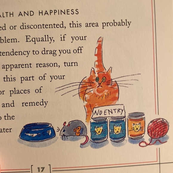 FENG SHUI FOR CATS by RONI JAY - Novelty Book GUC - Picture 7 of 9